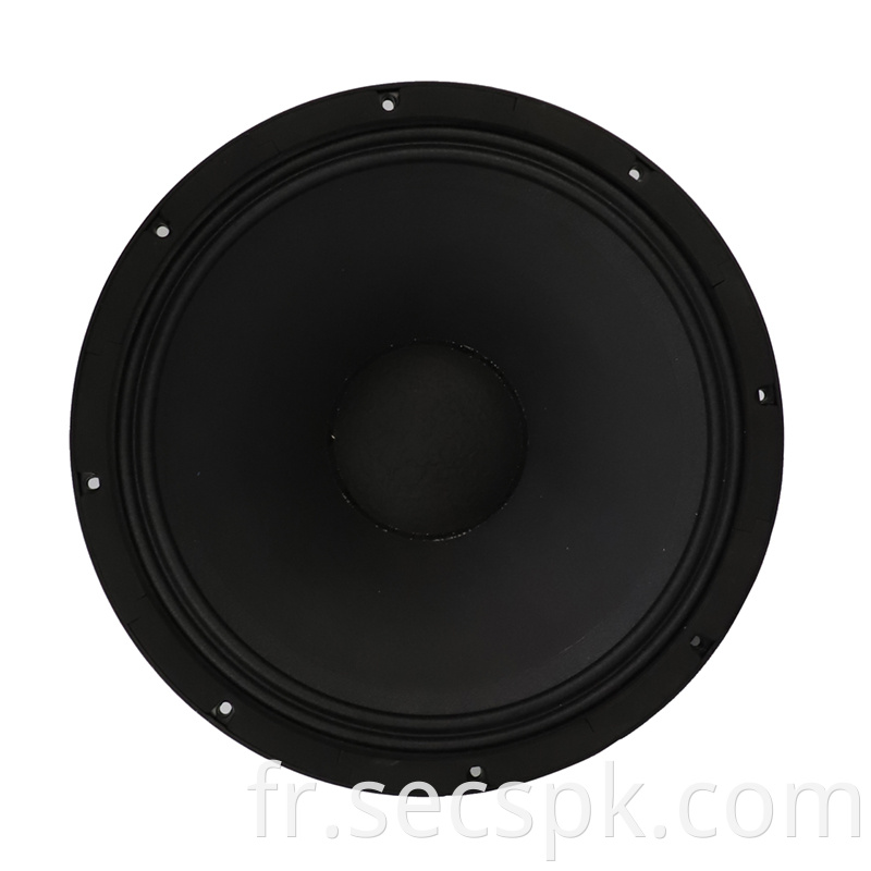 8ohm Party Stage Speaker